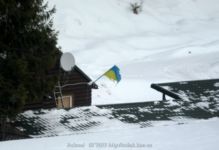 IMG_7139.jpg