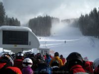 IMG_7199.jpg