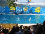 IMG_0048.jpg