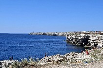 DSC_0435.jpg