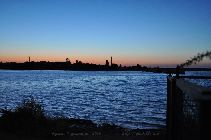 DSC_0502.jpg