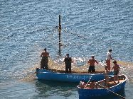 IMG_5212.jpg