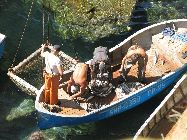 IMG_5218.jpg
