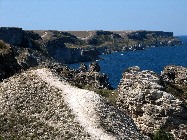 IMG_5237.jpg