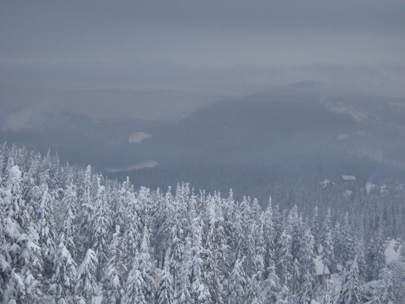 sIMG_6883.jpg