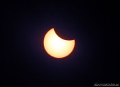 IMG_9091s.jpg