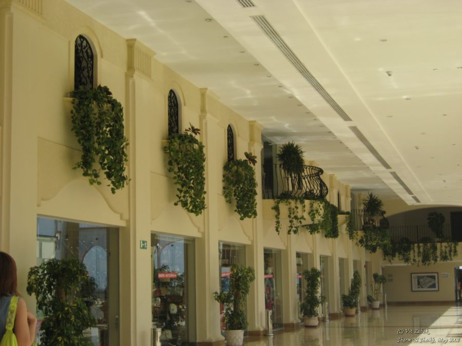    (lobby)