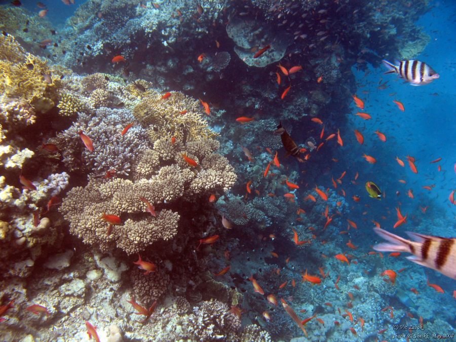 IMG_7894.jpg