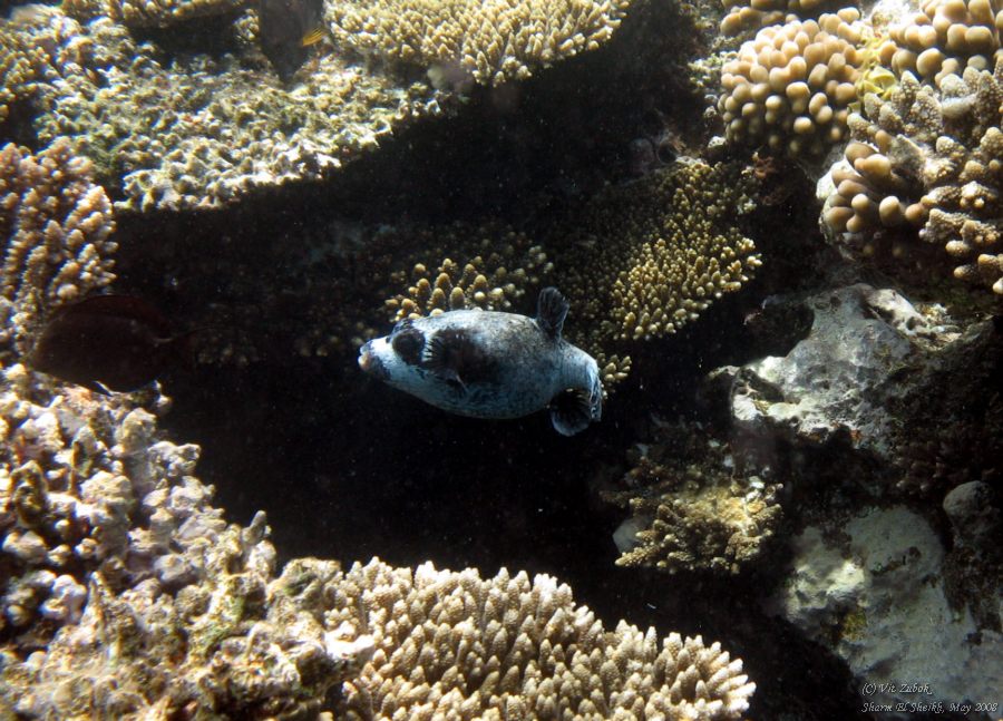 IMG_7899.jpg