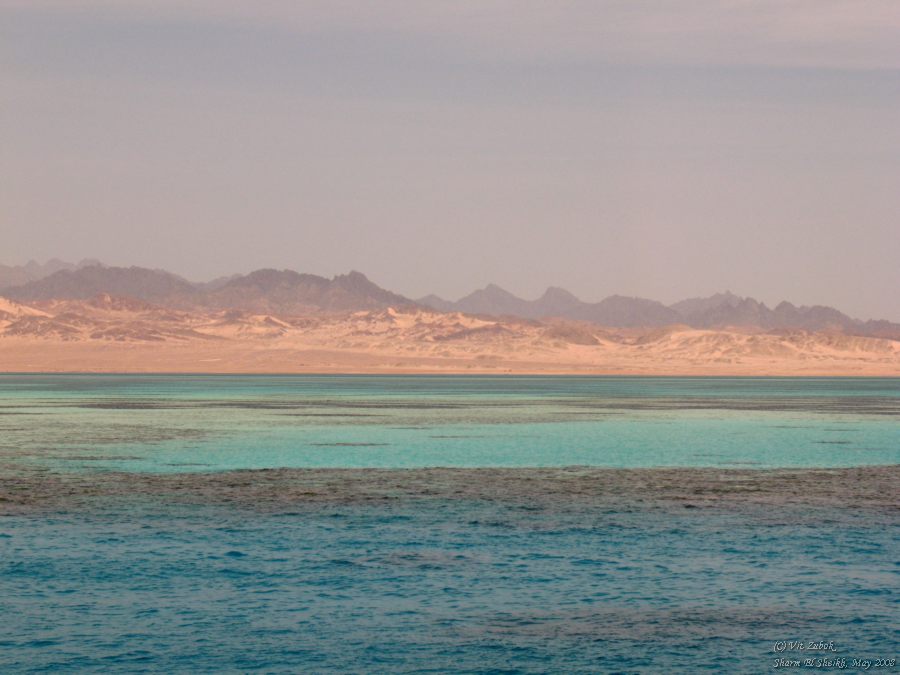 IMG_7913.jpg