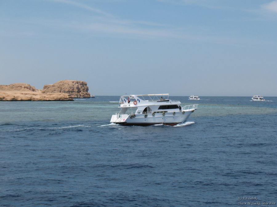 IMG_7935.jpg