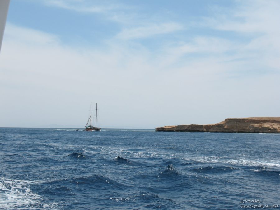 IMG_7938.jpg