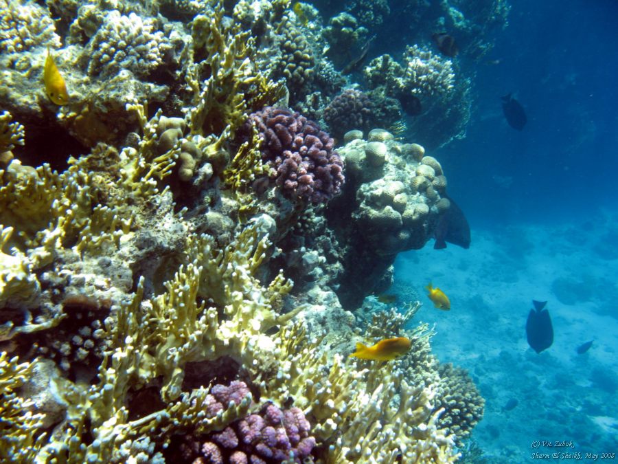 IMG_7423.jpg