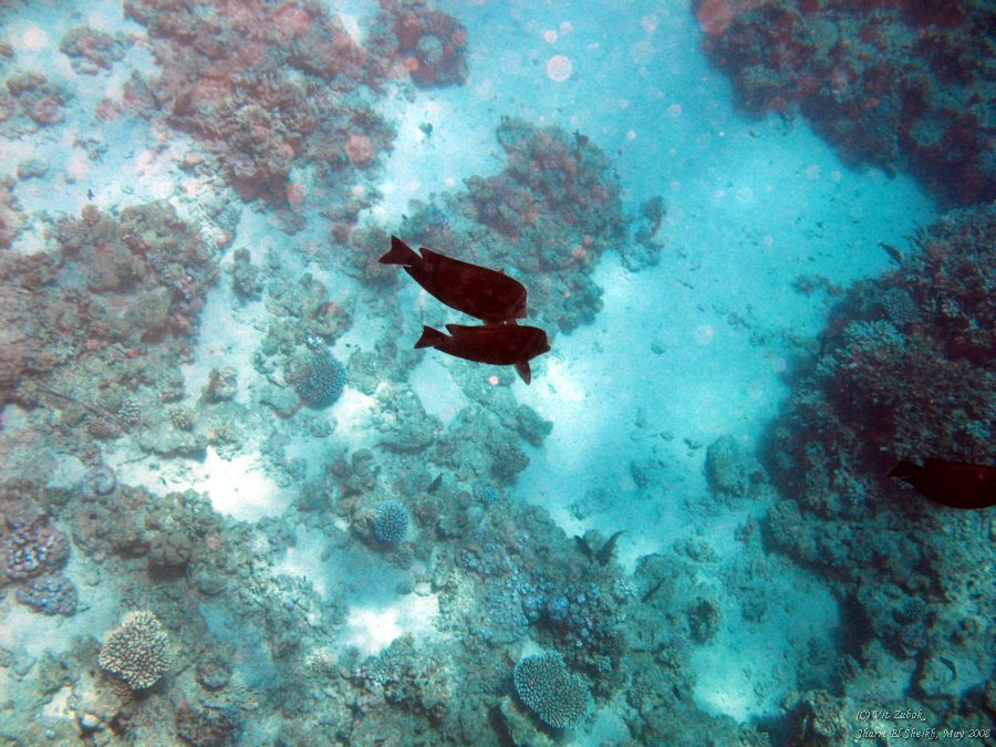IMG_7440.jpg