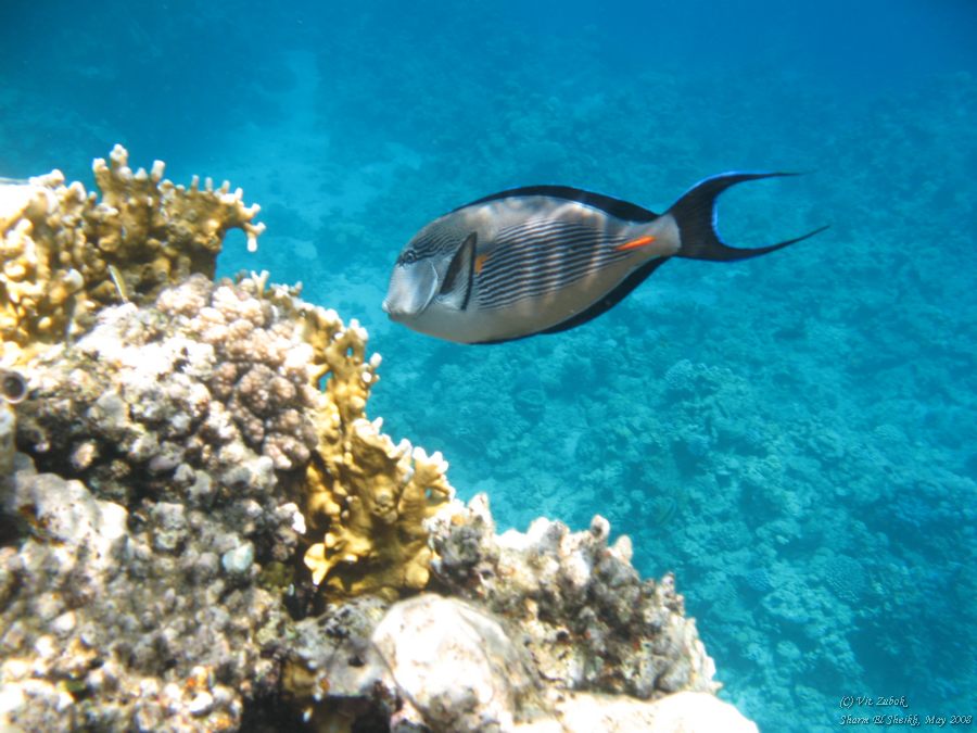 IMG_7453.jpg