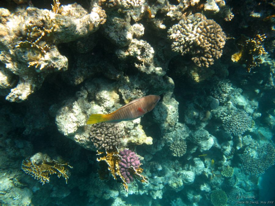 IMG_7562.jpg