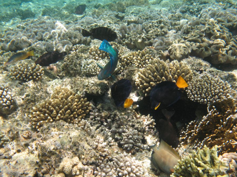 IMG_7612.jpg