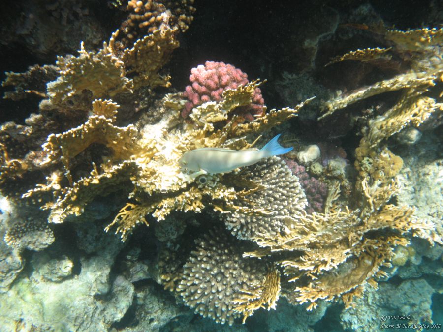 IMG_7613.jpg
