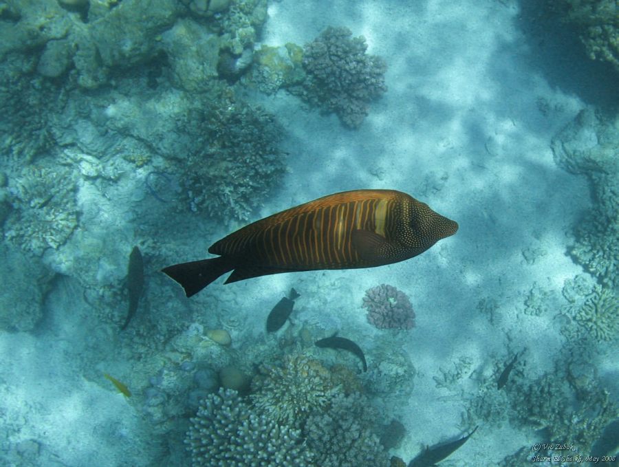 IMG_7616.jpg