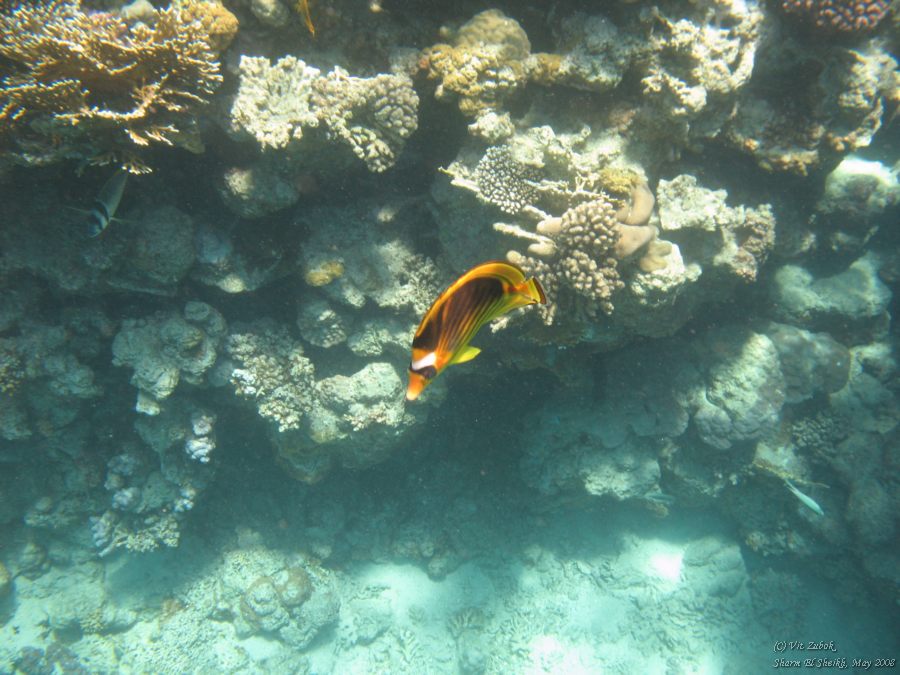 IMG_7618.jpg