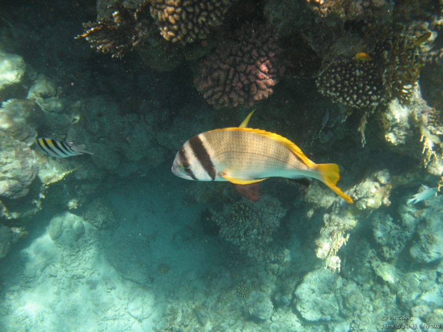 IMG_7619.jpg
