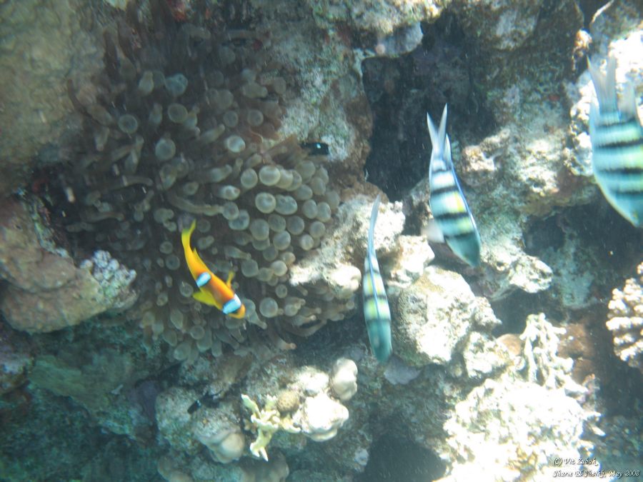 IMG_7626.jpg