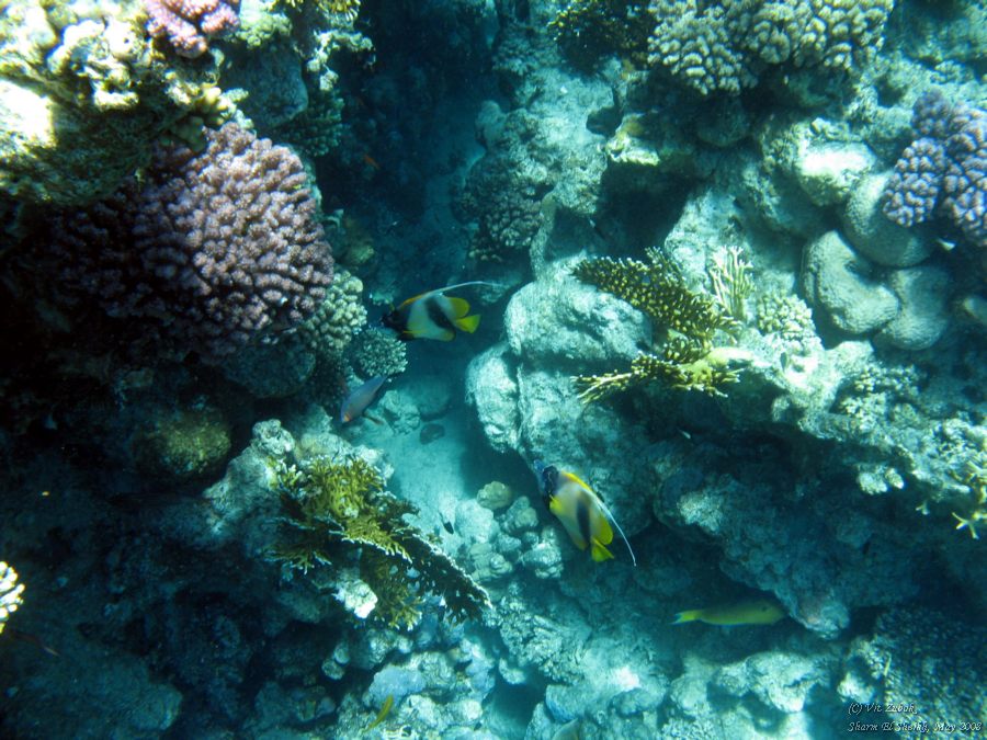 IMG_7761.jpg