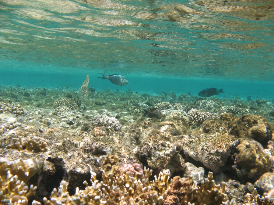 IMG_7979.jpg