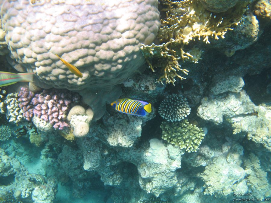 IMG_7992.jpg