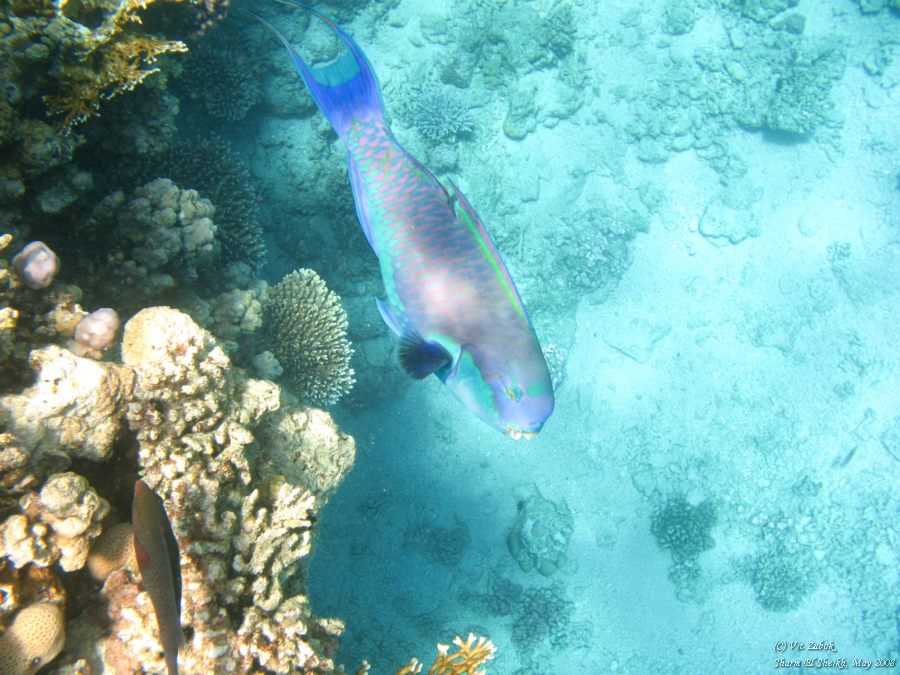 IMG_7997.jpg