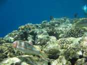 IMG_7426.jpg