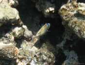 IMG_7587.jpg