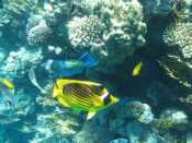 IMG_7775.jpg