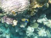 IMG_7992.jpg