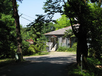 IMG_8003.jpg
