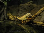 IMG_9344.jpg