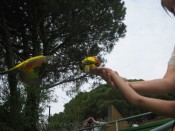 IMG_0293.jpg